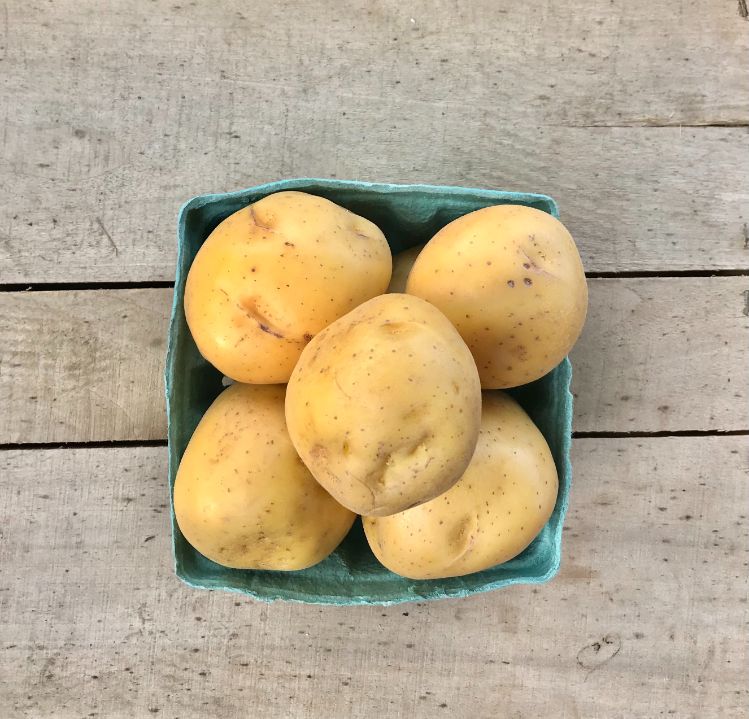 Potato Yukon, each Terhune Orchards