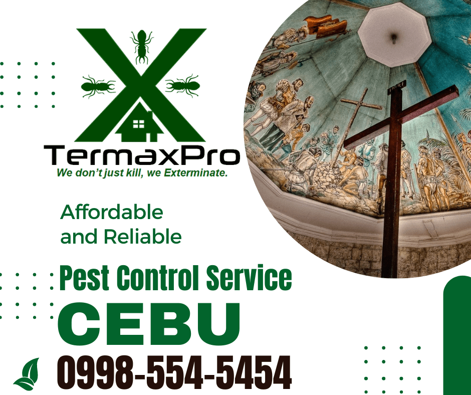 Pest Control Service Cebu TERMAXPRO Termite Experts