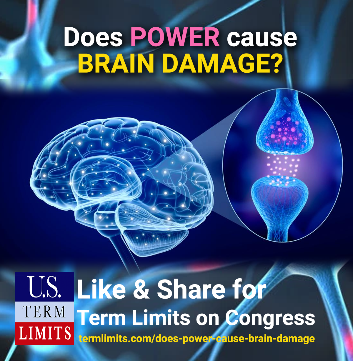 Does power cause brain damage? U.S. Term Limits