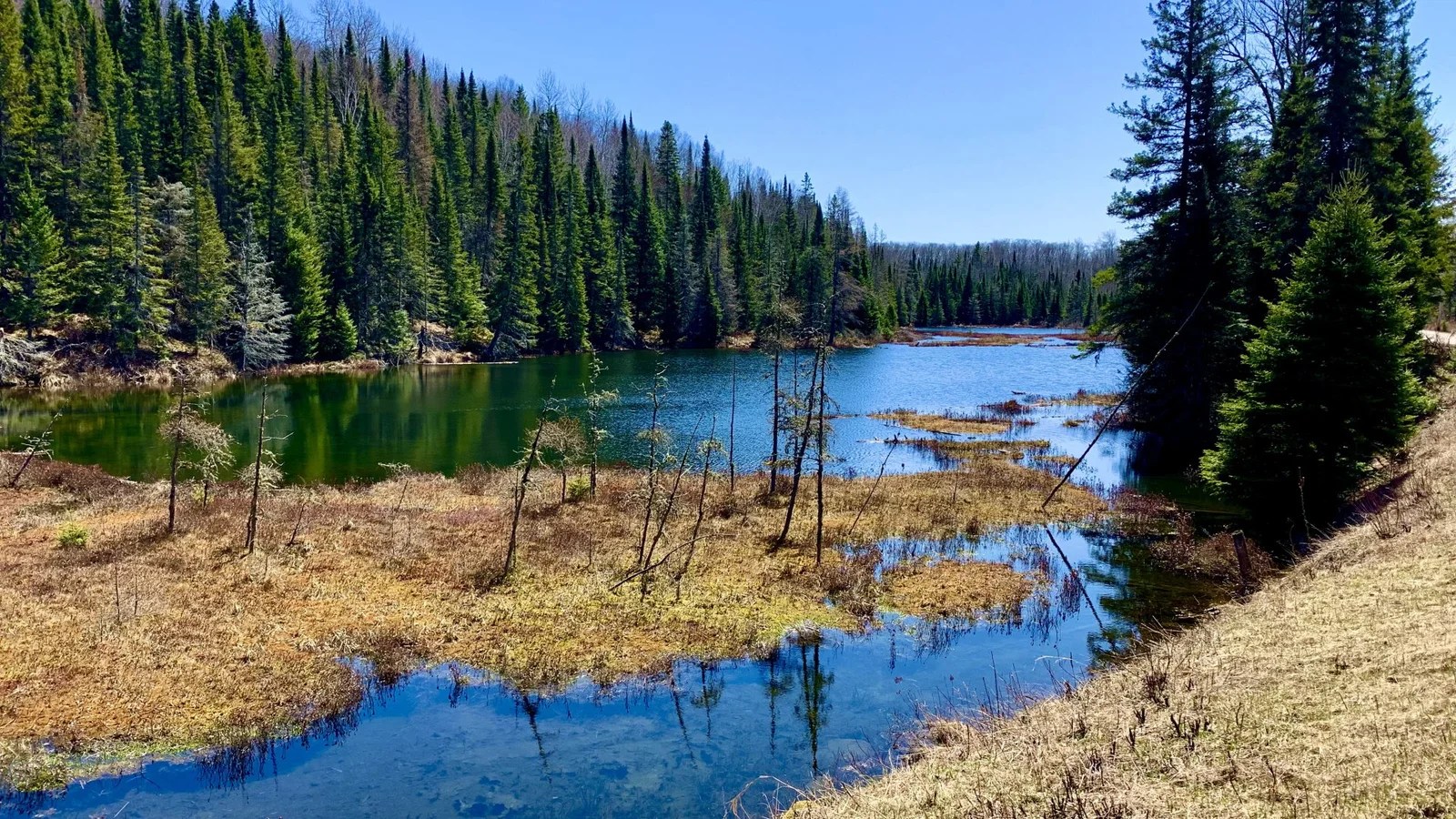 Balade au coeur du Parc provincial Algonquin Terra Canada