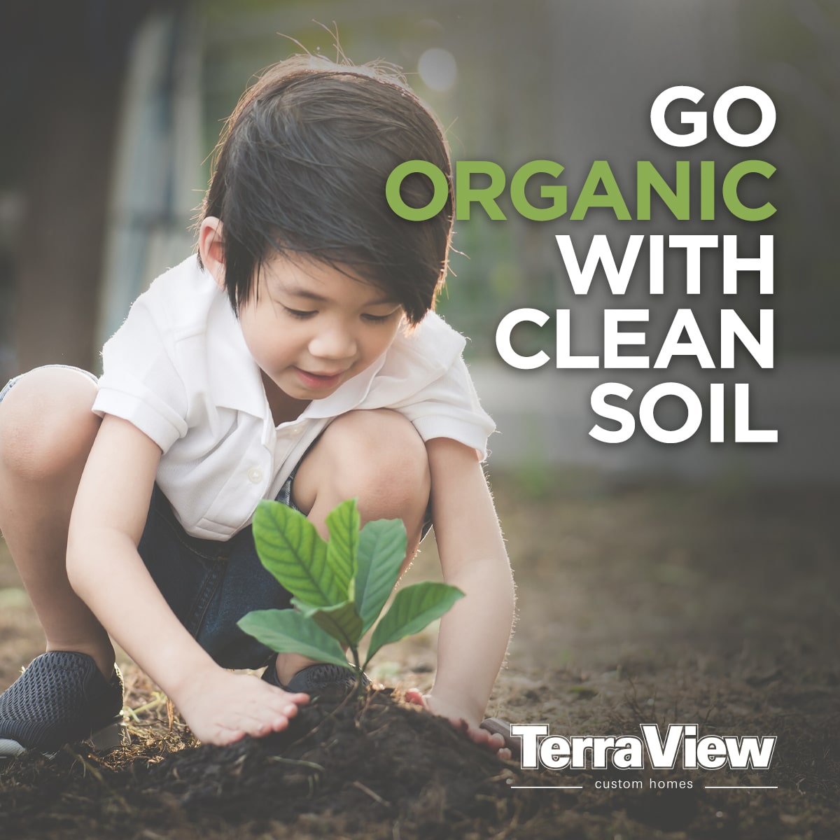 Healthier Communities Start with Clean Soil Terra View Homes