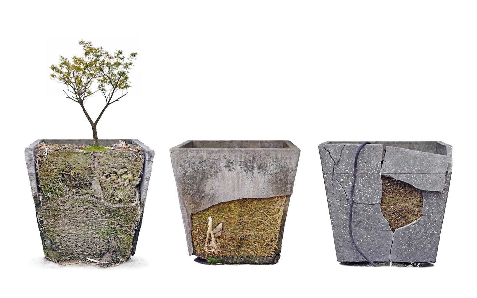 Are Concrete Planters Sustainable? Concrete Vs. Resin Planters