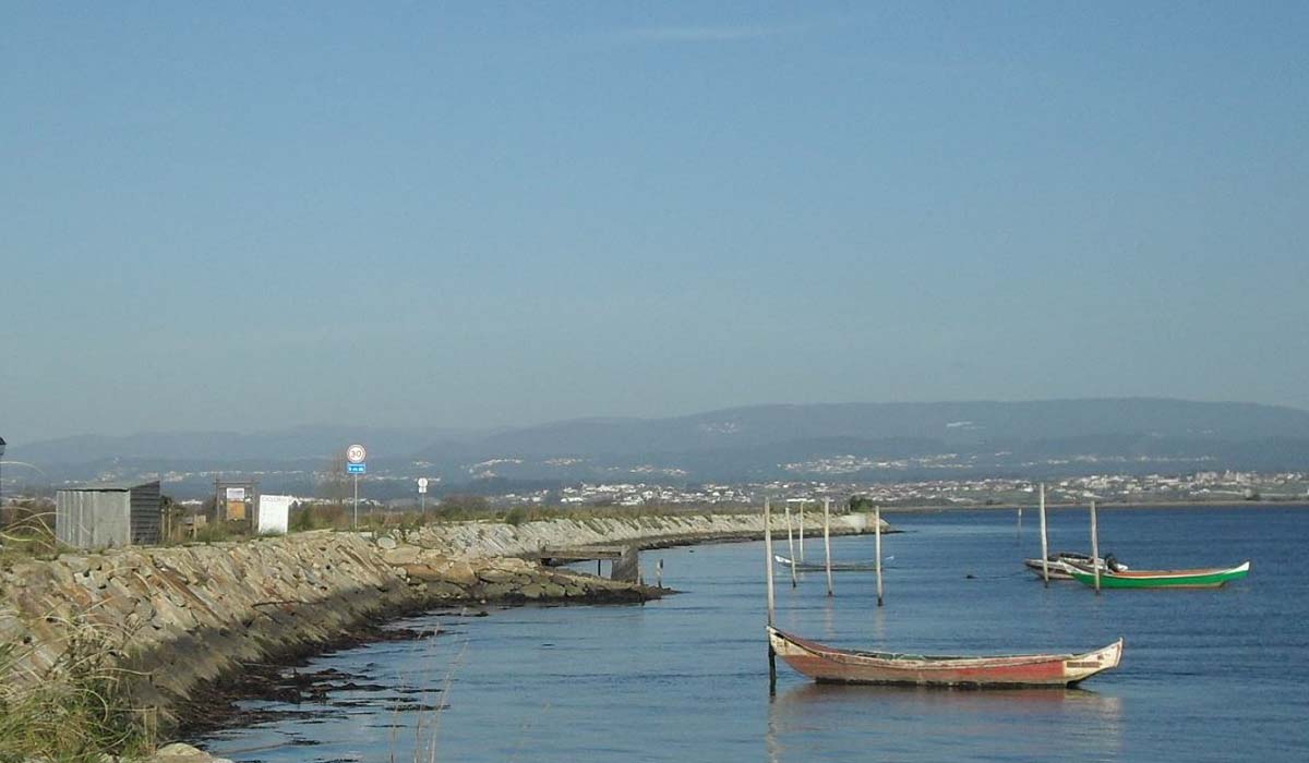 Terra D'Água Murtosa