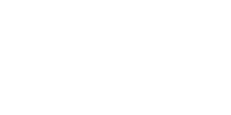 Terra Express