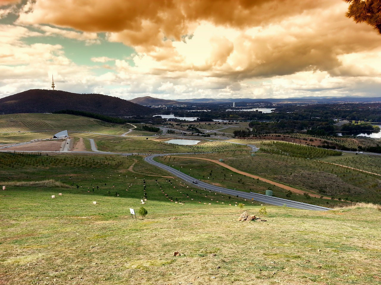 Canberra A Good Sheep Station Ruined by Catherine Mauk •