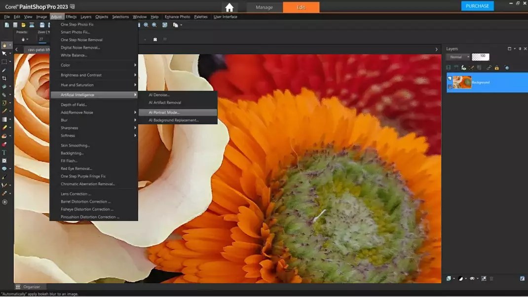 Best Photo Editing Software for Beginners or Professionals