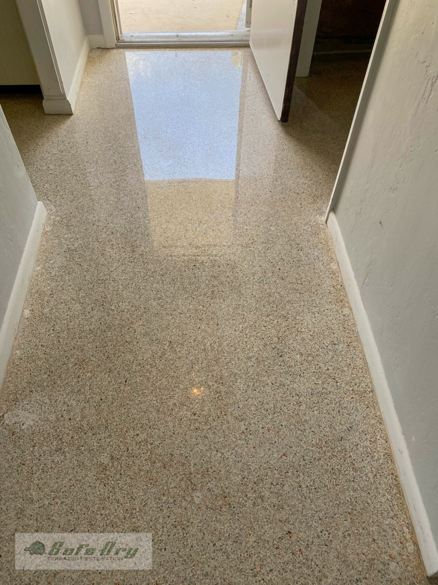 Terrazzo Floor Pet Stain Removal * Terrazzo Restoration Blog