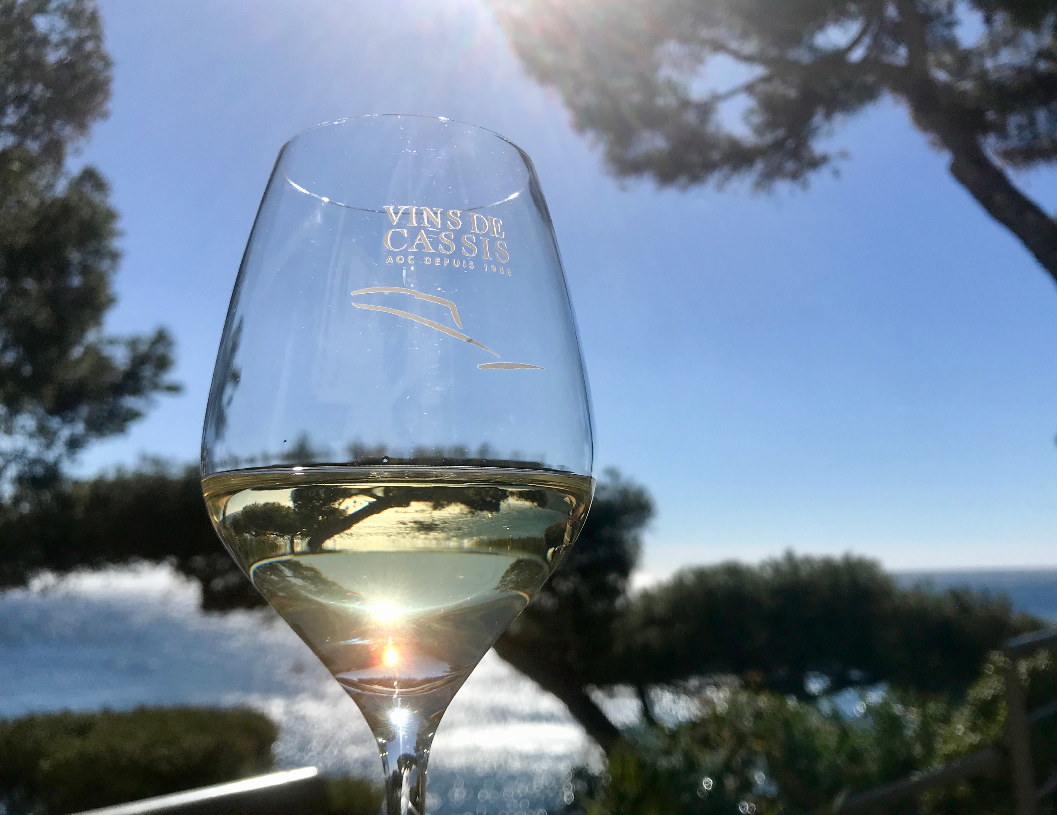Ça bouge dans les vignes de Cassis - Ça bouge dans les vignes de Cassis -  Terre de Vins