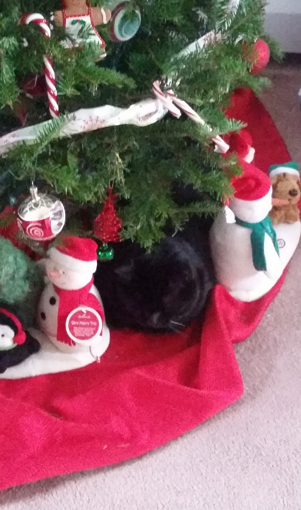 Cat under the (fake) Christmas tree. Share yours. NeoGAF