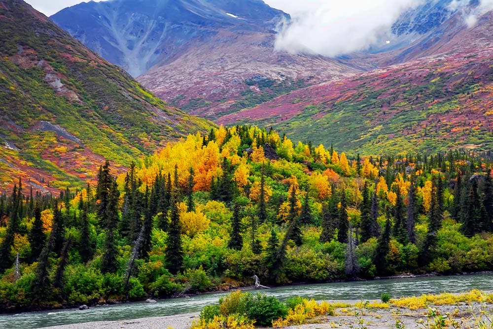 The Best Time To Visit Alaska A YearRound Planning Guide
