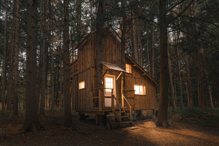 7 of the Coolest Treehouse Rentals in New York Territory Supply