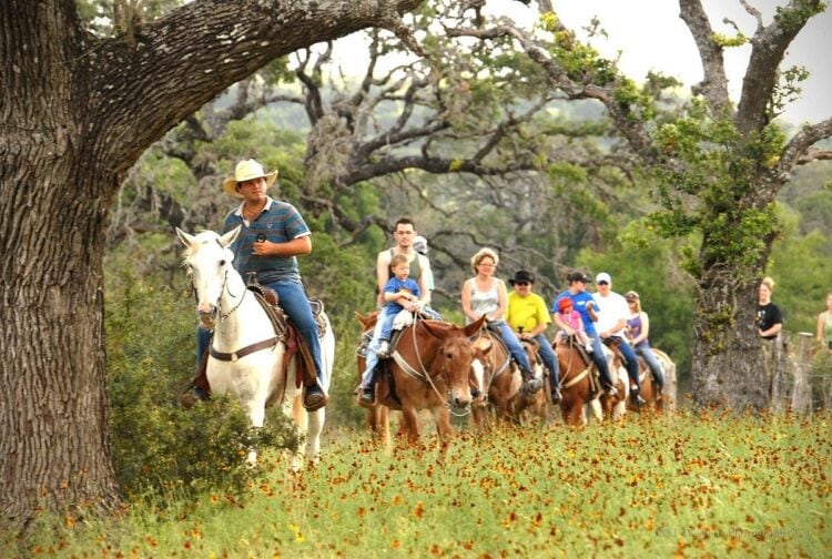 10 Best Texas Dude Ranches for a True Western Experience