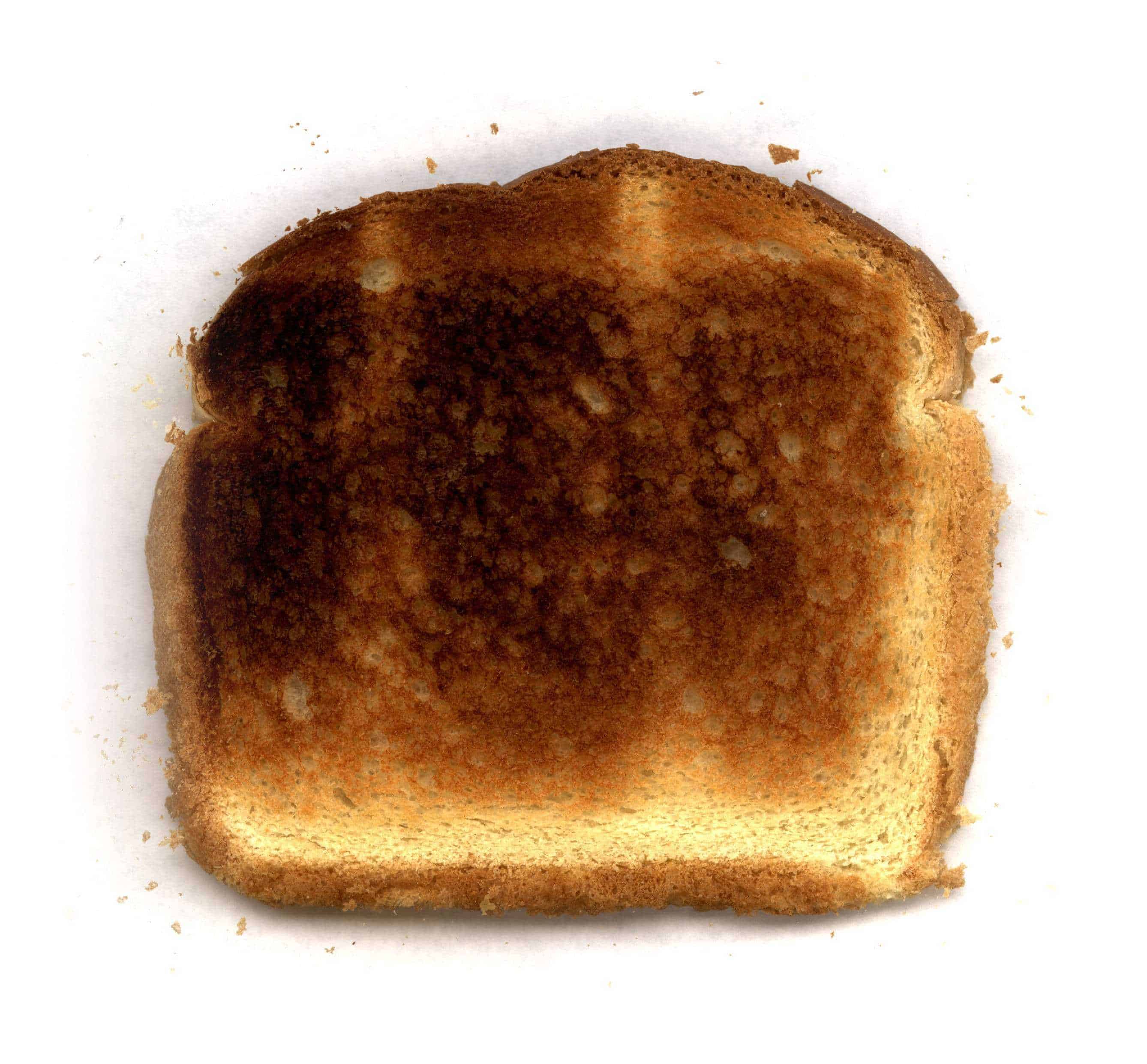Burnt Toast Biggest Small Business Tech Issue Terry Culkin