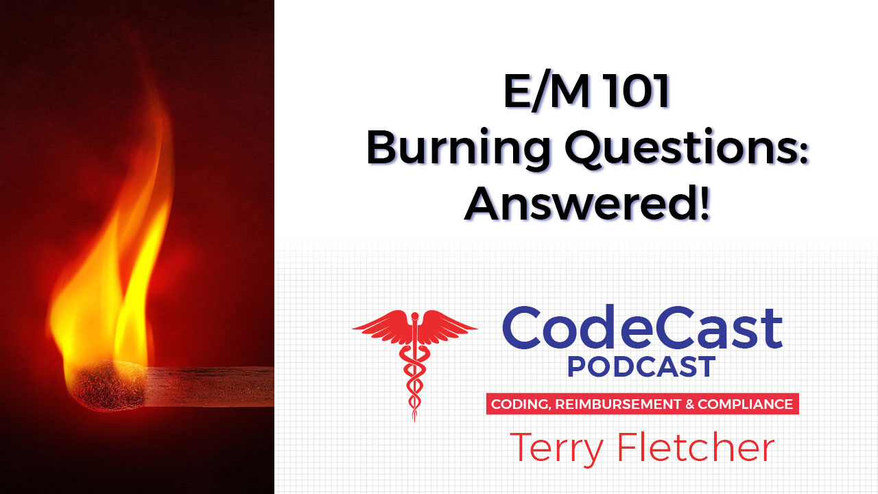 Terry Fletcher Consulting, Inc. EM 101 Burning Questions Answered
