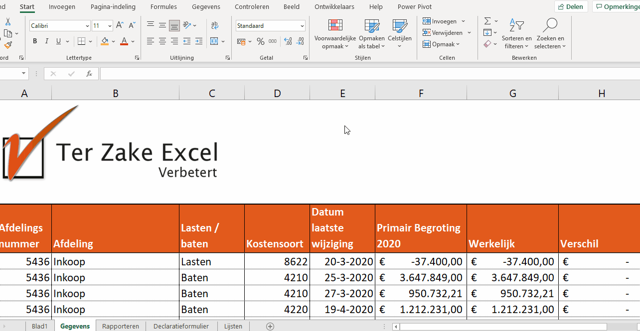Exceltips het lint Ter Zake Excel