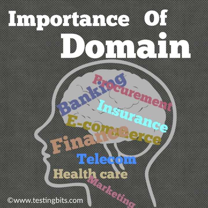 Importance of domain knowledge in testing