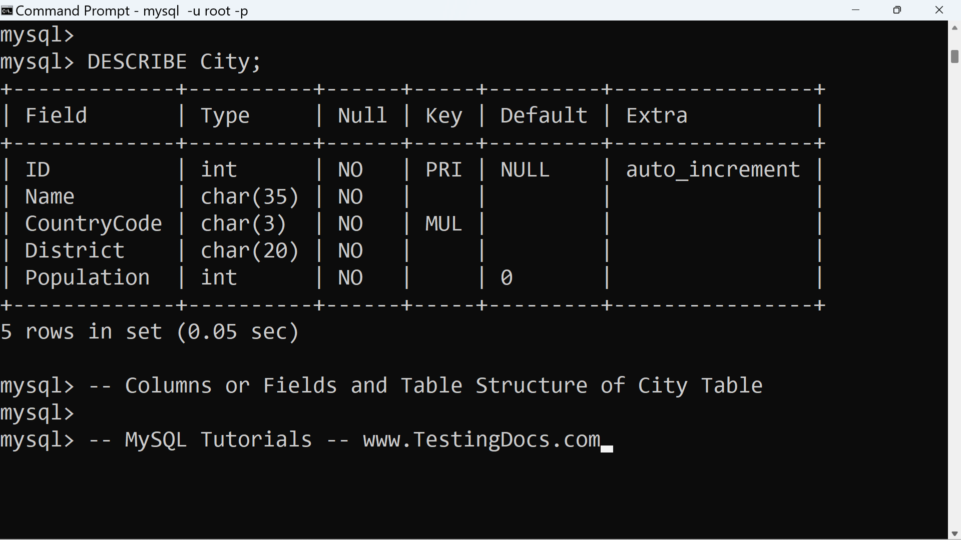 What is a Database Table?