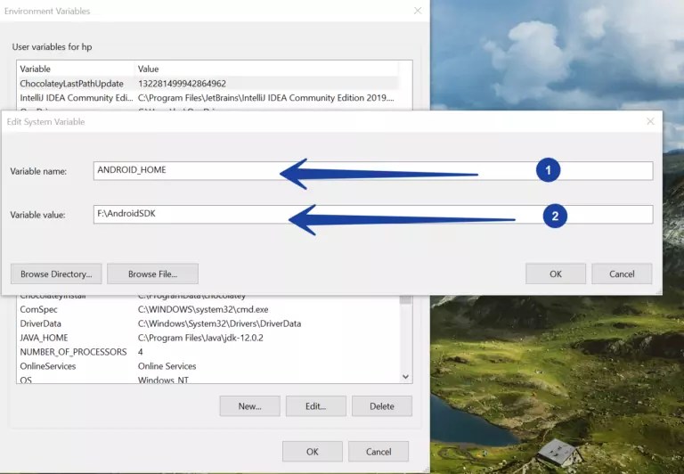 Set ANDROID_HOME environment variable on Windows