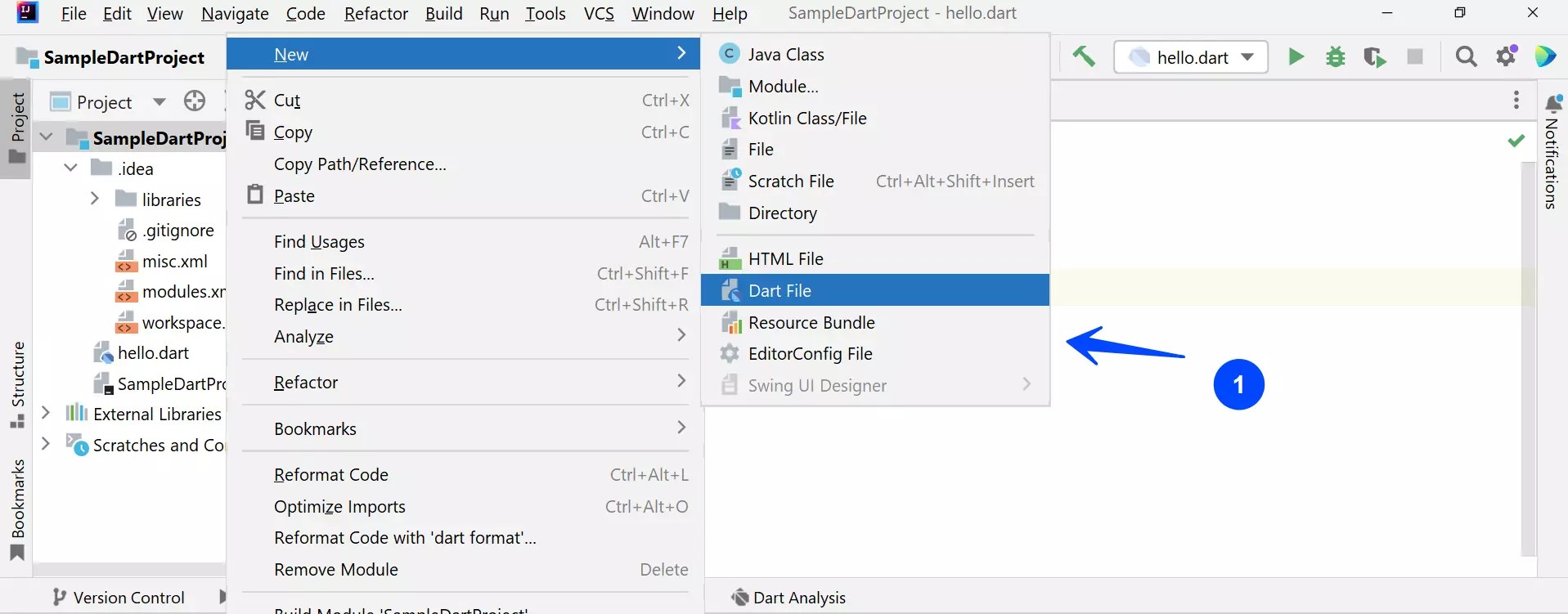 Basic Dart Program Example