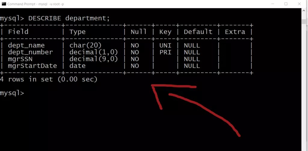 MySQL DESCRIBE Statement