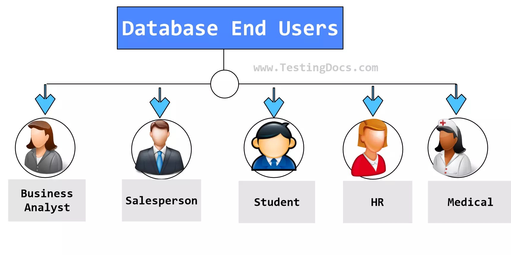 Database Users