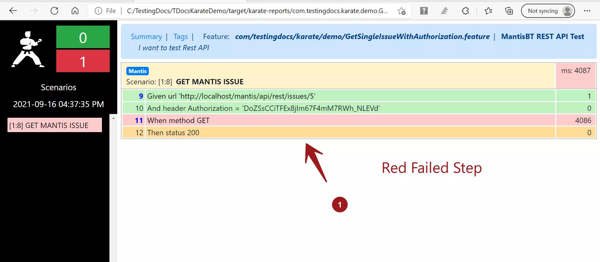 Karate API Automation Reports