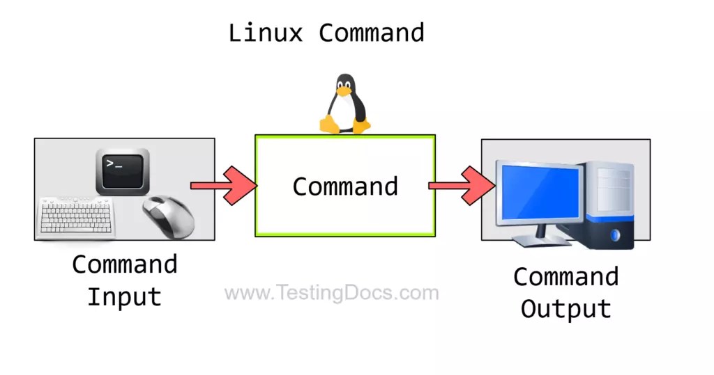 Linux Commands Tutorial