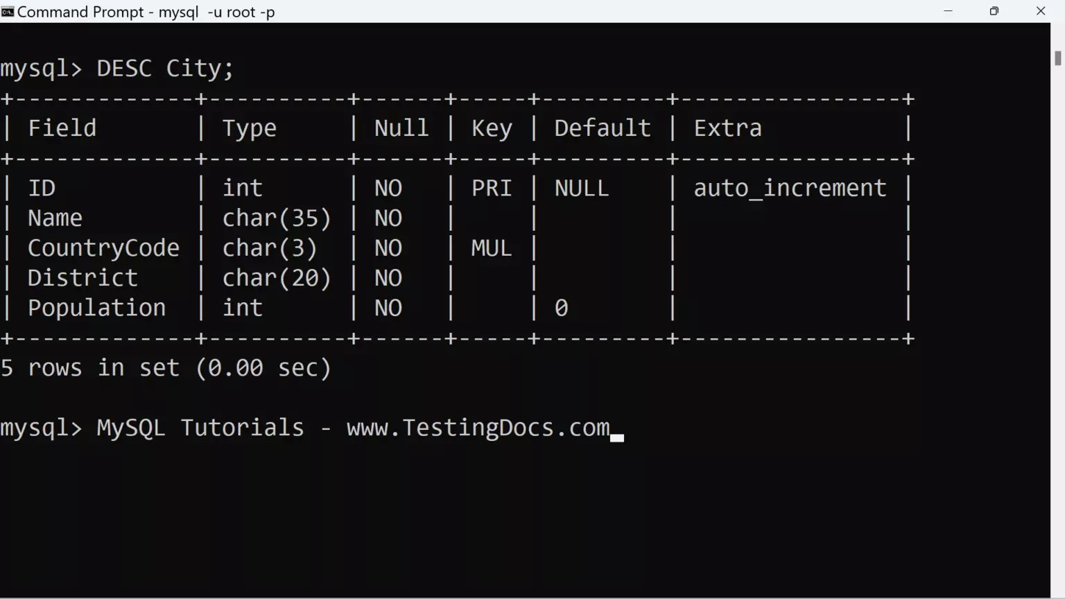 MySQL DESCRIBE Statement