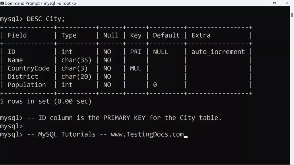 Database Primary and Foreign Key