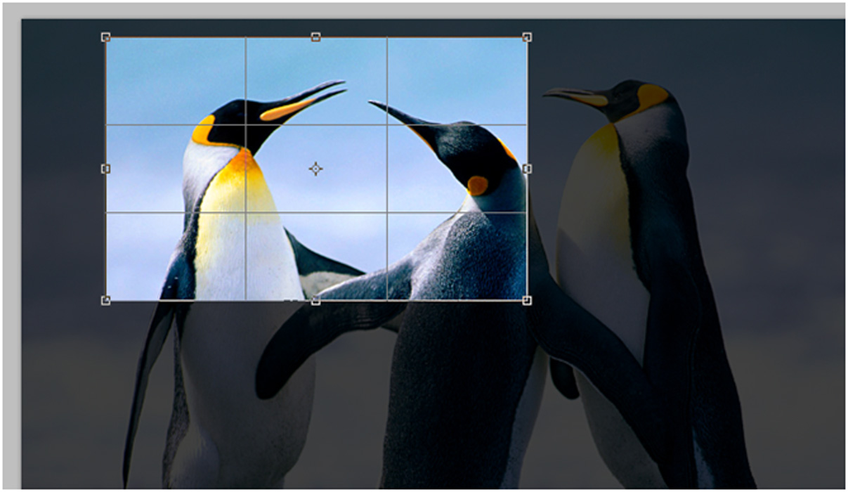 Give Your Photos a Dimensional Makeover in Tech King