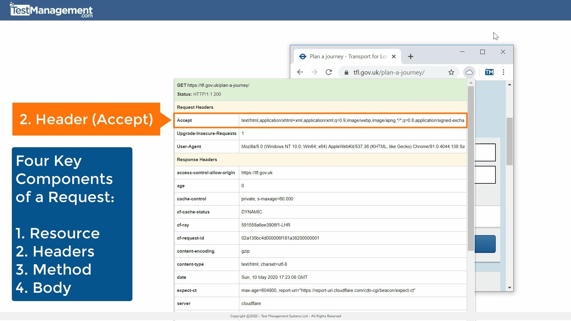 What Is A Rest Api Test Management