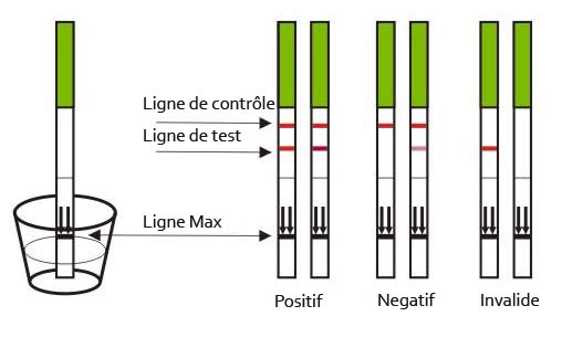 Pack 100 test ovulation bandes
