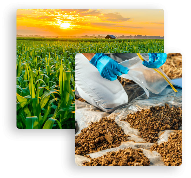 Overview on Site and Soil contamination