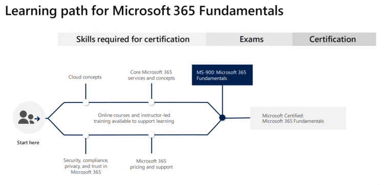 Microsoft 365 Learning Paths Cloud Academy