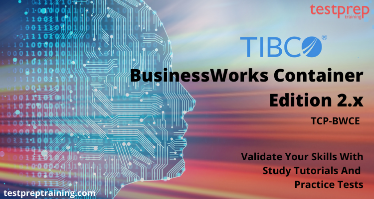 TCPBWCE TIBCO BusinessWorks Container Edition 2.x