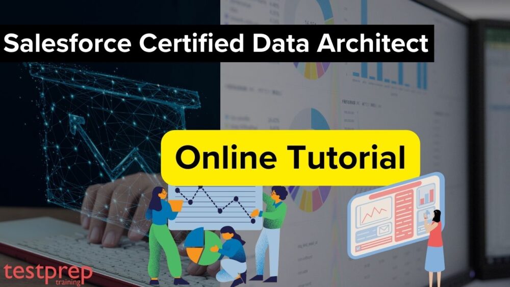 Salesforce Certified Data Architect Testprep Training Tutorials