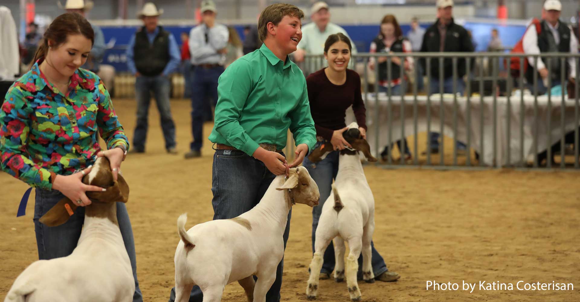 Texas Goat Breeders Texas Goat Breeders Association