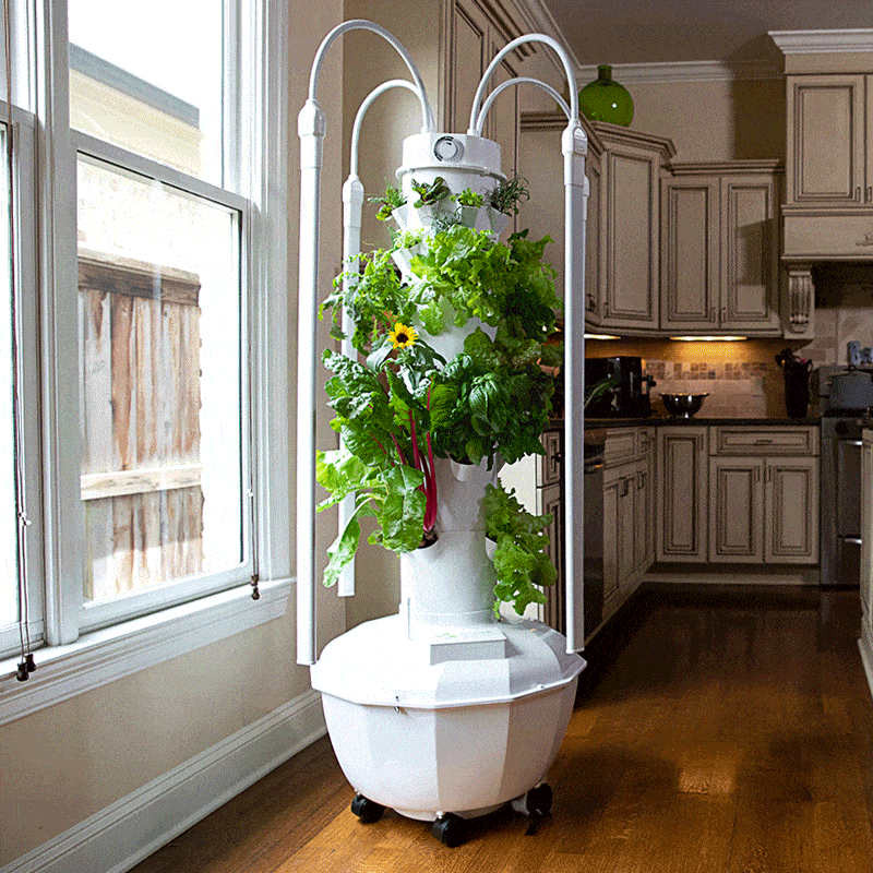 JUICE PLUS and TOWER GARDEN Karen Schobel Texas Market Guide