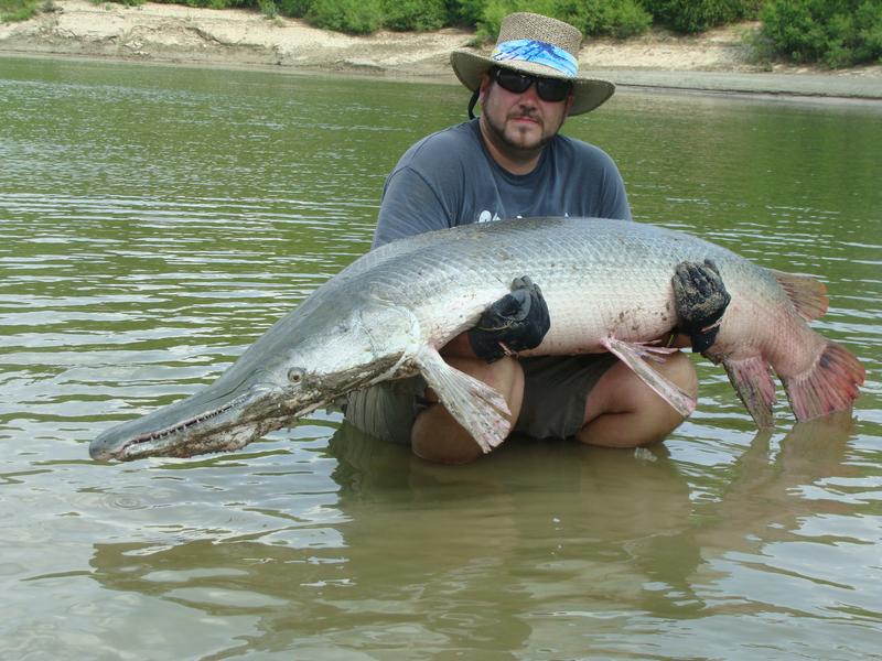 Alligator Gar Fishing, Alligator Gar Guide, Texas Guided Gar Fishing