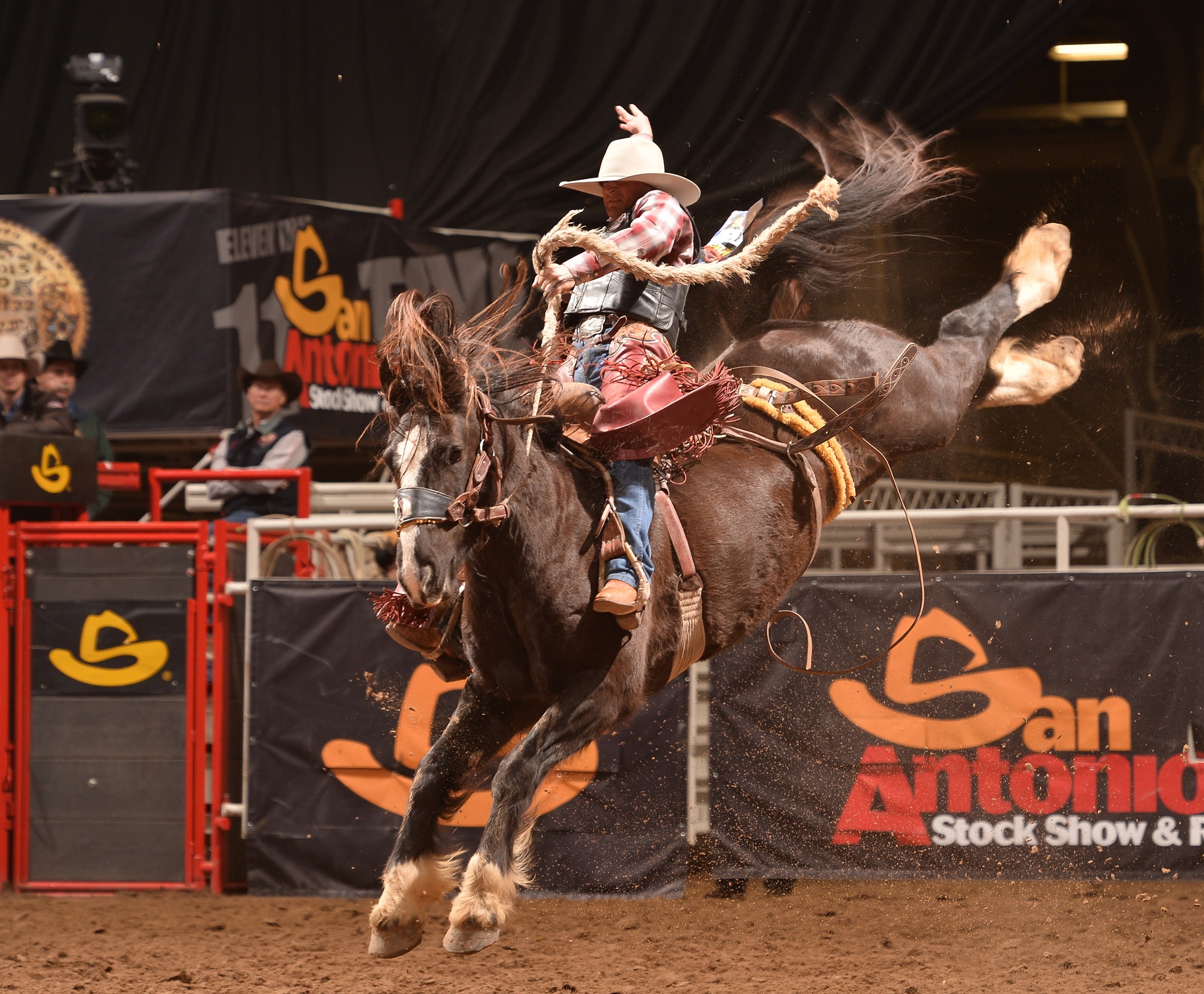 San Antonio Stock Show & Rodeo Texas Monthly
