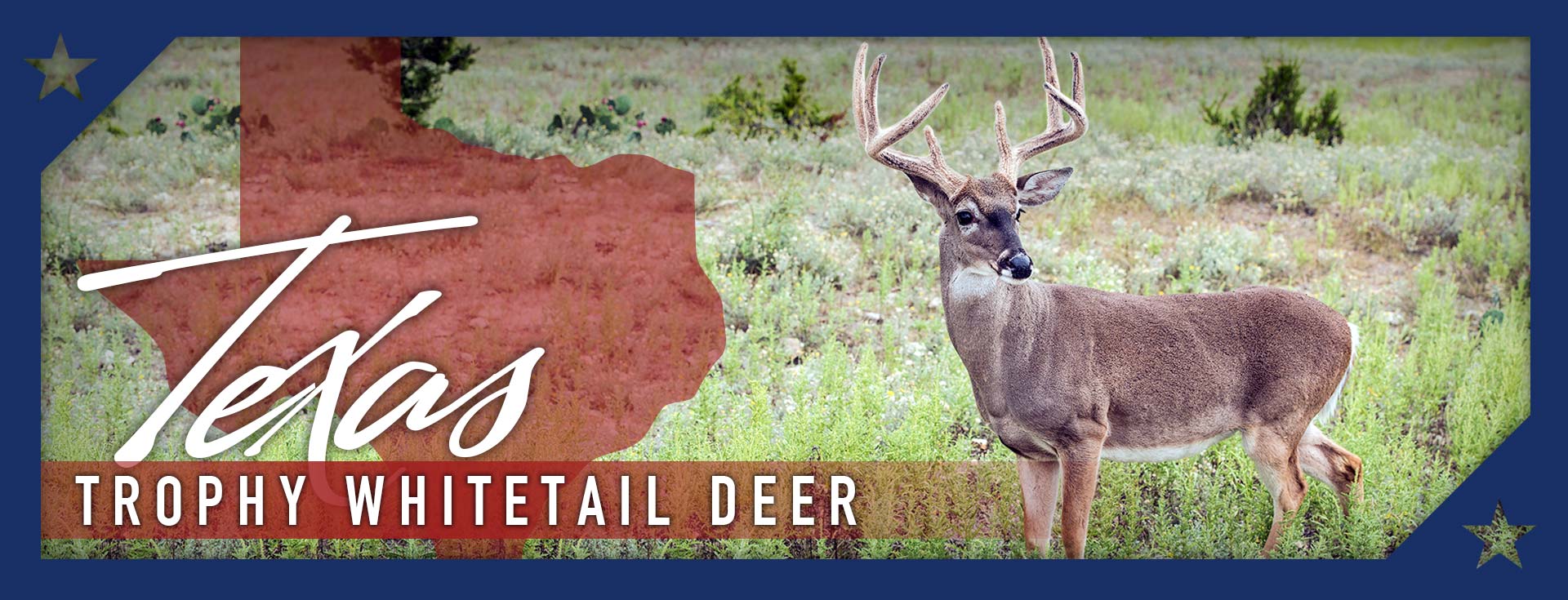 Panhandle Outfitters Of Texas Texas Panhandle Hunts