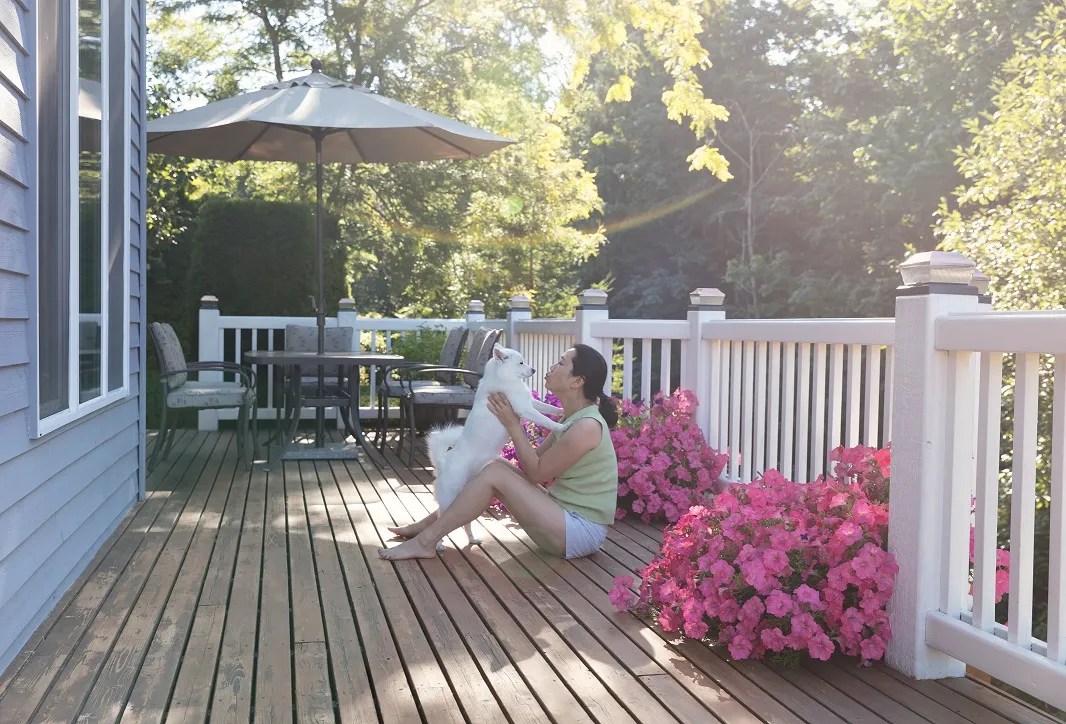 Want a PetFriendly Patio? 3 Tips for Selecting Furniture