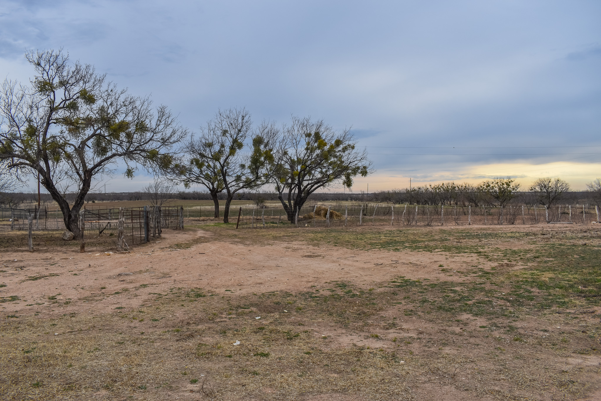 26 Acres on County Road 420 Brady Texas Real Estate, McCulloch