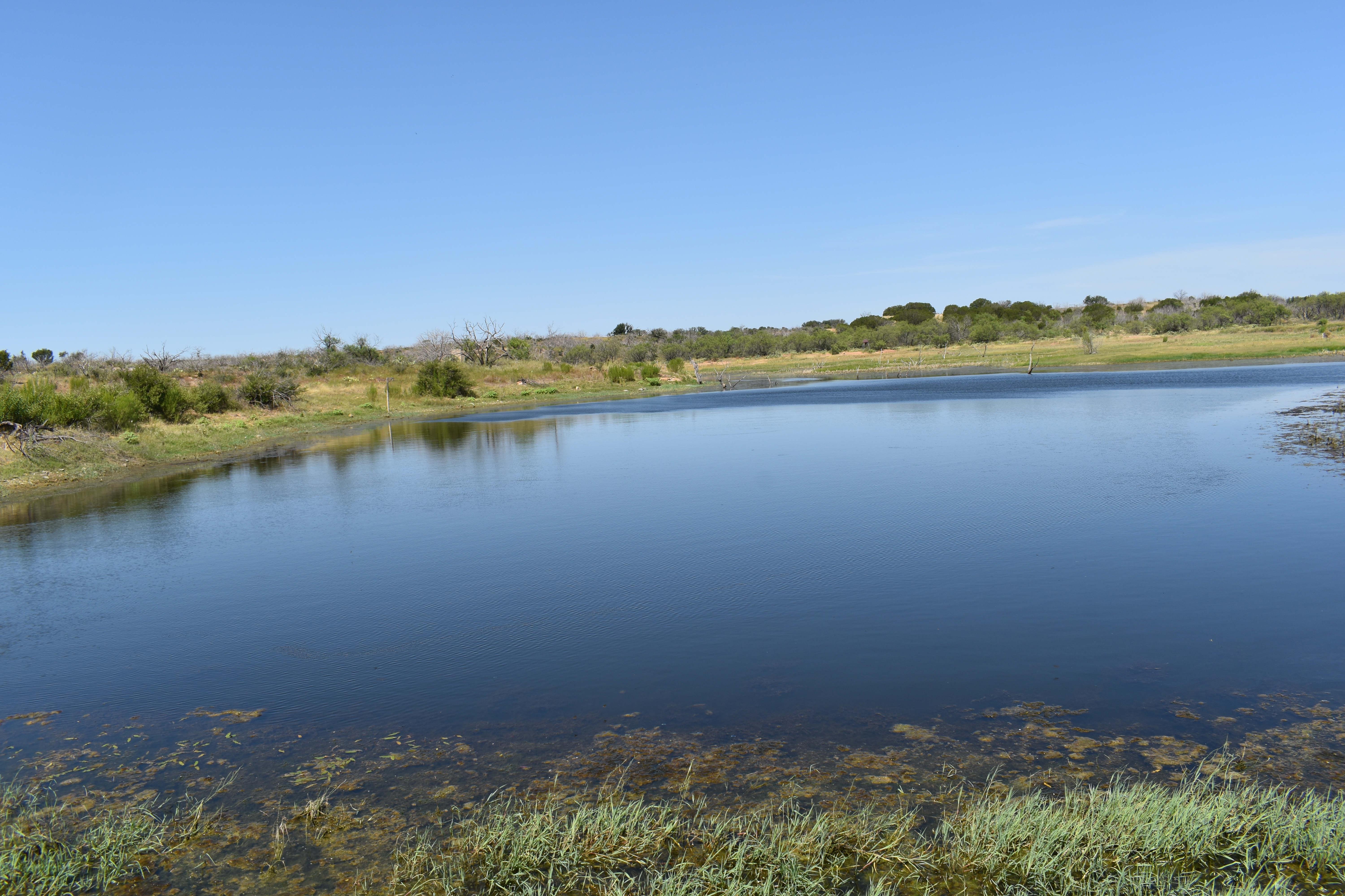 Barndaminum on 98+/ Acres with 2 Tanks Brady Texas Real Estate