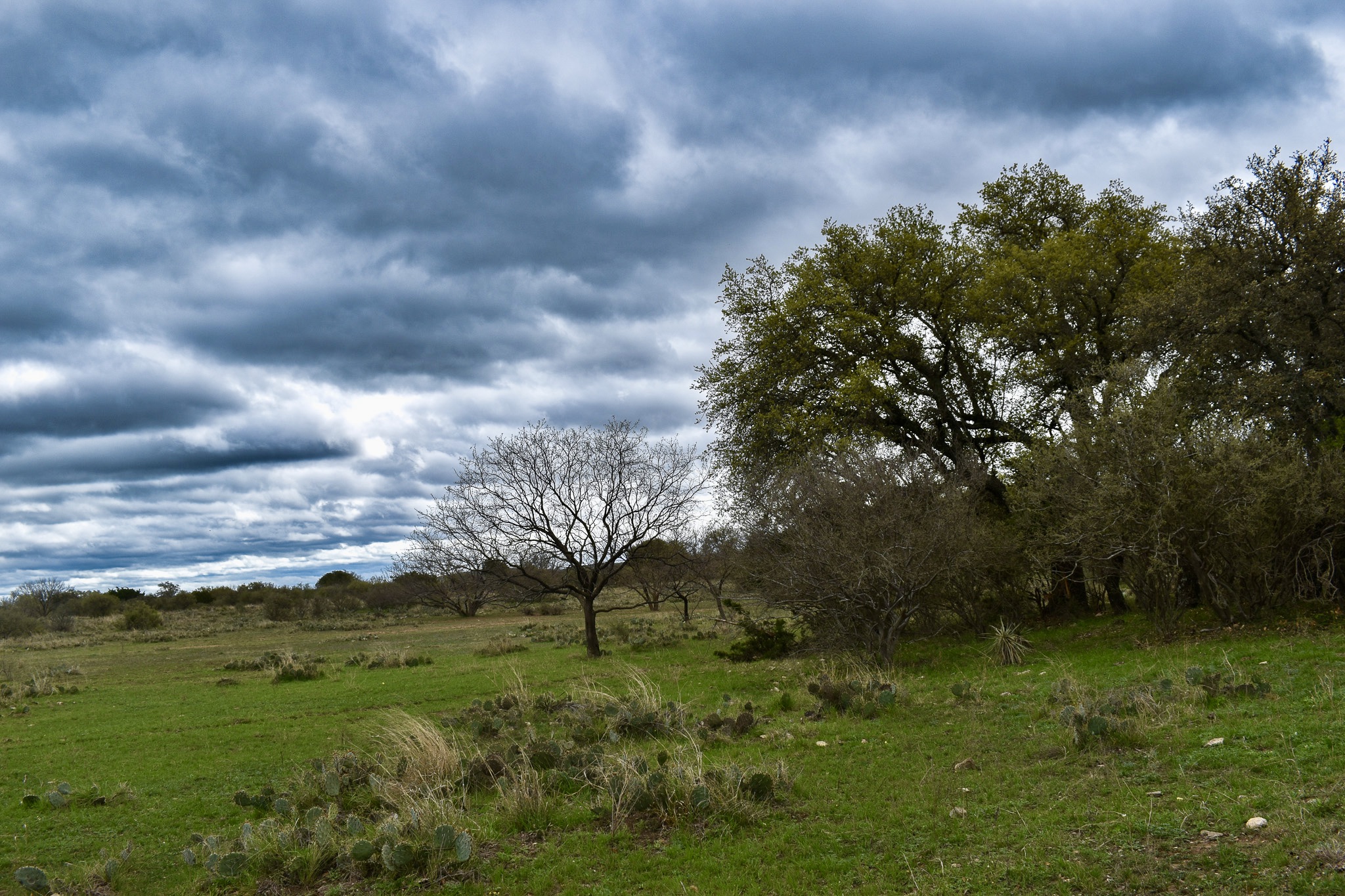 105+/ Acres Brady Texas Real Estate, McCulloch County, Texas Real