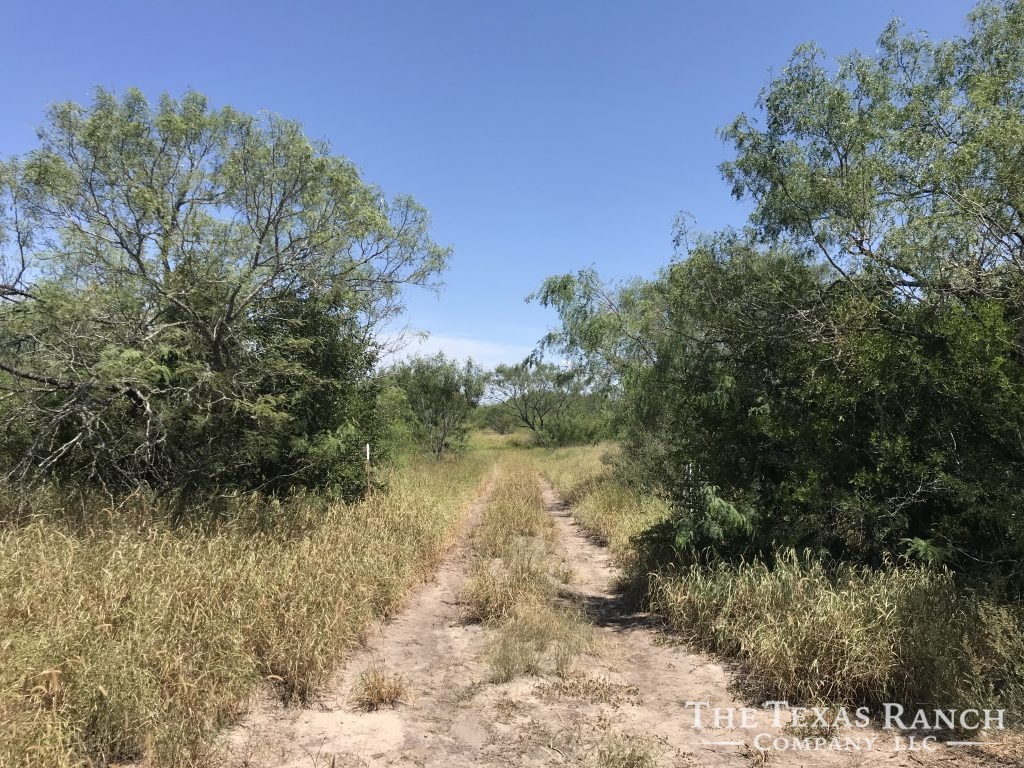 768 Acres in Duval County, Texas The Texas Ranch Company