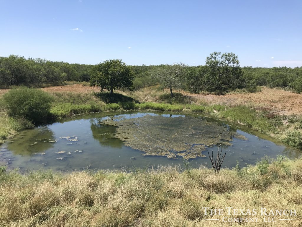 768 Acres in Duval County, Texas The Texas Ranch Company
