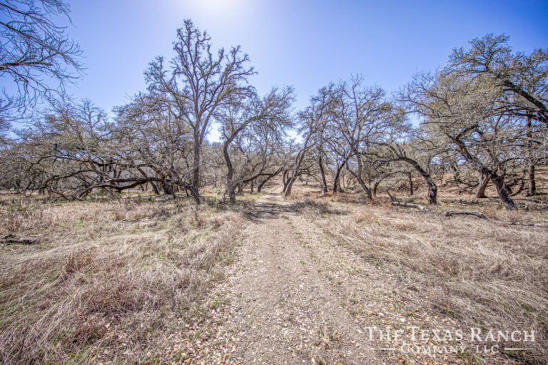 623 Acres, Kendall County, Texas The Texas Ranch Company