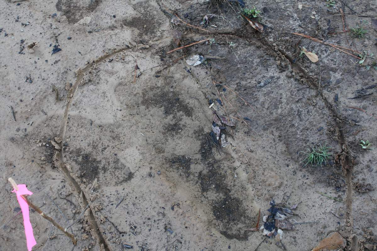 Nacogdoches County, Texas