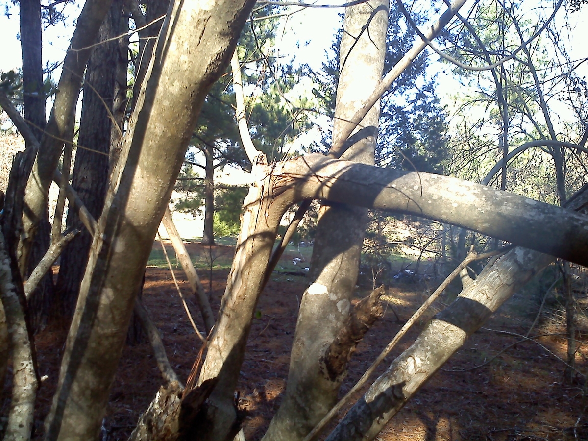 Nacogdoches County, Texas